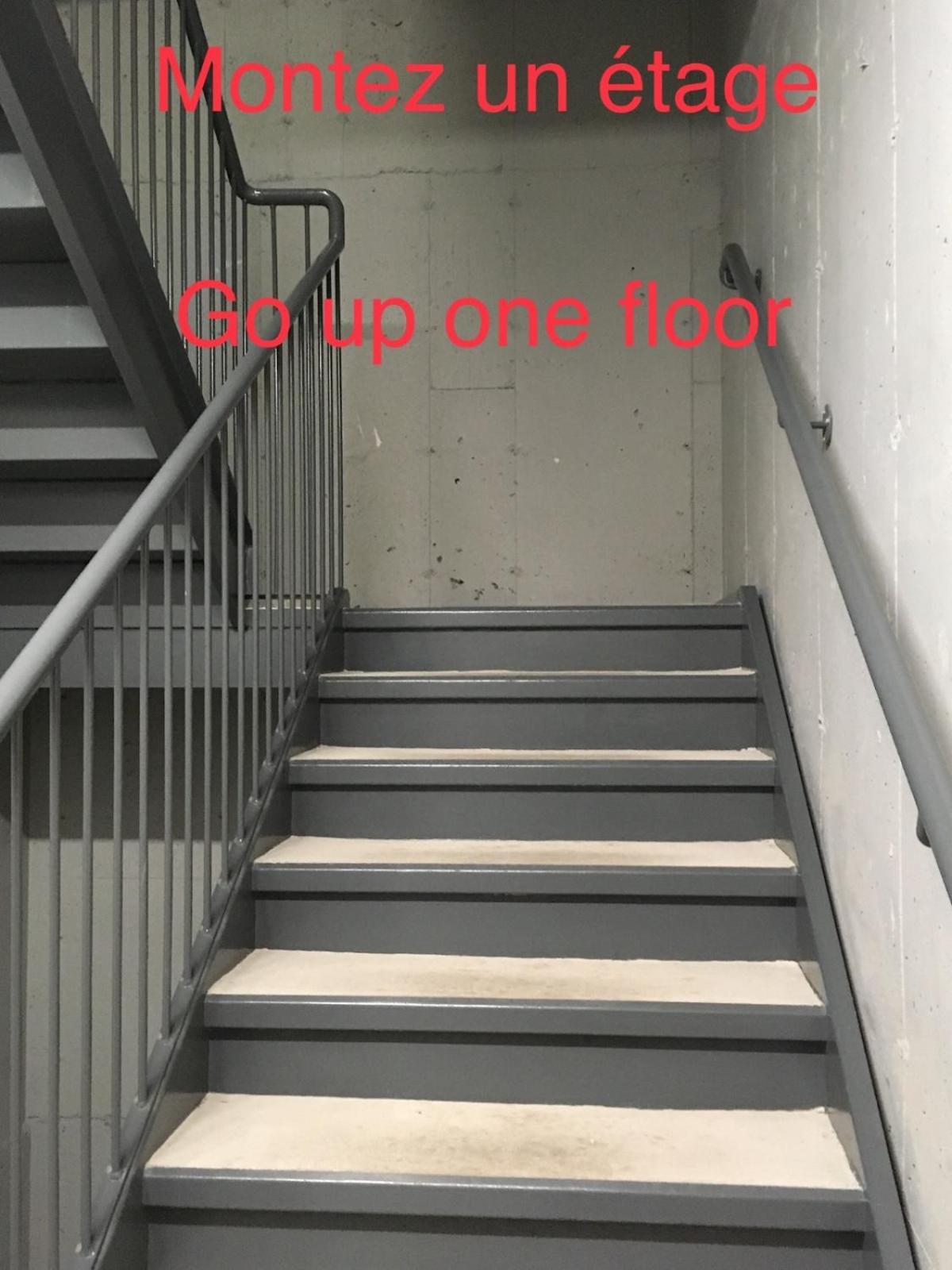 קוויבק סיטי Le Studio Picasso "Parking Inclus" מראה חיצוני תמונה
